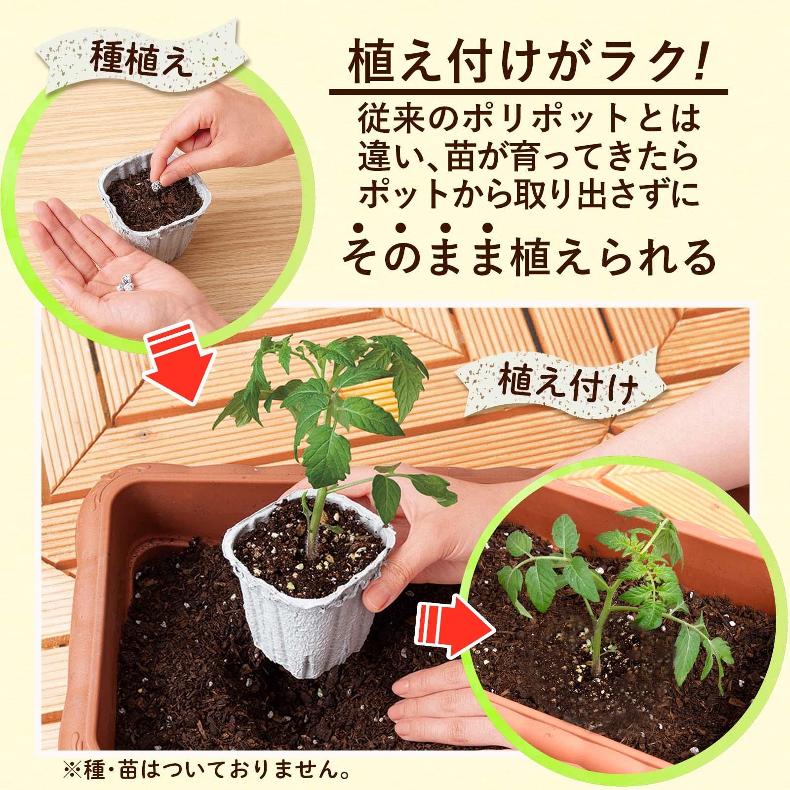 Amazon.co.jp: コモライフ 土に還る園芸ポット 30個入り 園芸ポット